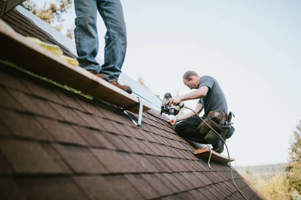 Quick and Trustworthy Emergency Roof Repair Services in Hallandale Beach, FL